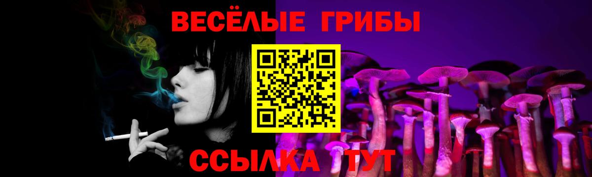 Орехово-Зуево  Псилоцибиновые грибы Psilocybe  Вход с VPN  Псилоцибиновые грибы мухоморы 